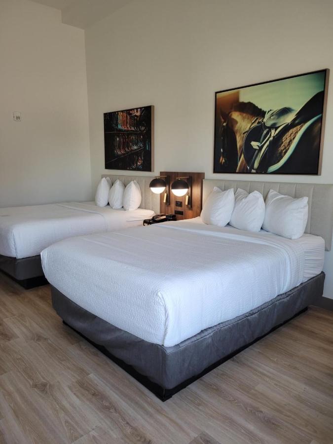La Quinta Inn & Suites By Wyndham Terrell Εξωτερικό φωτογραφία