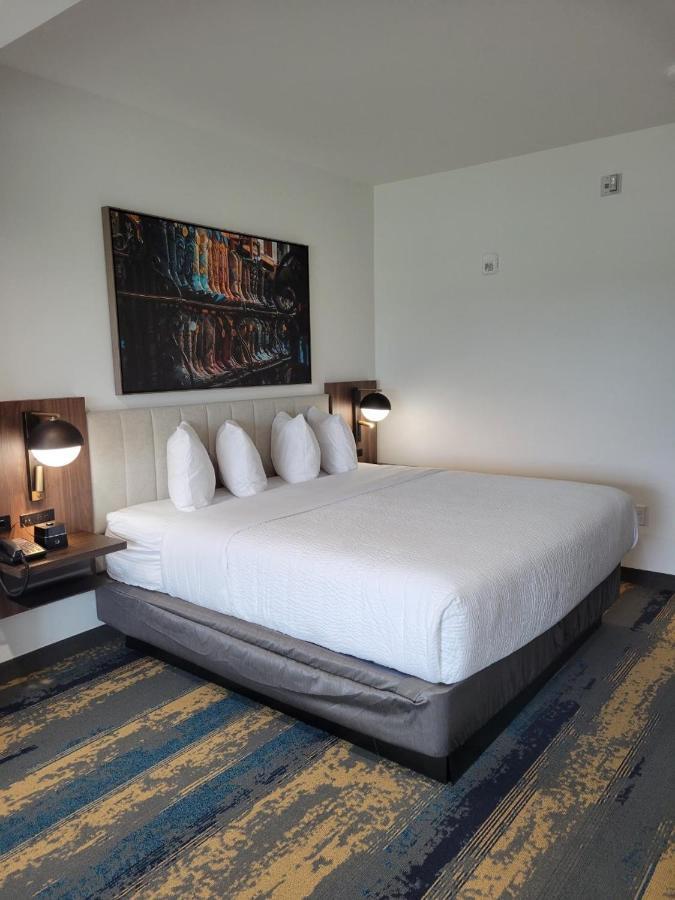 La Quinta Inn & Suites By Wyndham Terrell Εξωτερικό φωτογραφία